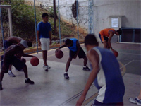 bolar5
